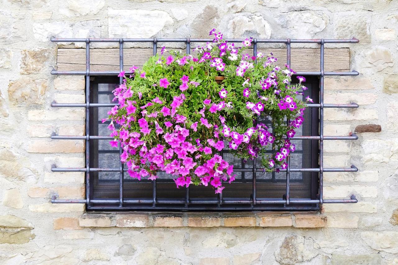 Casale Le Orme Bed & Breakfast Todi Exterior foto
