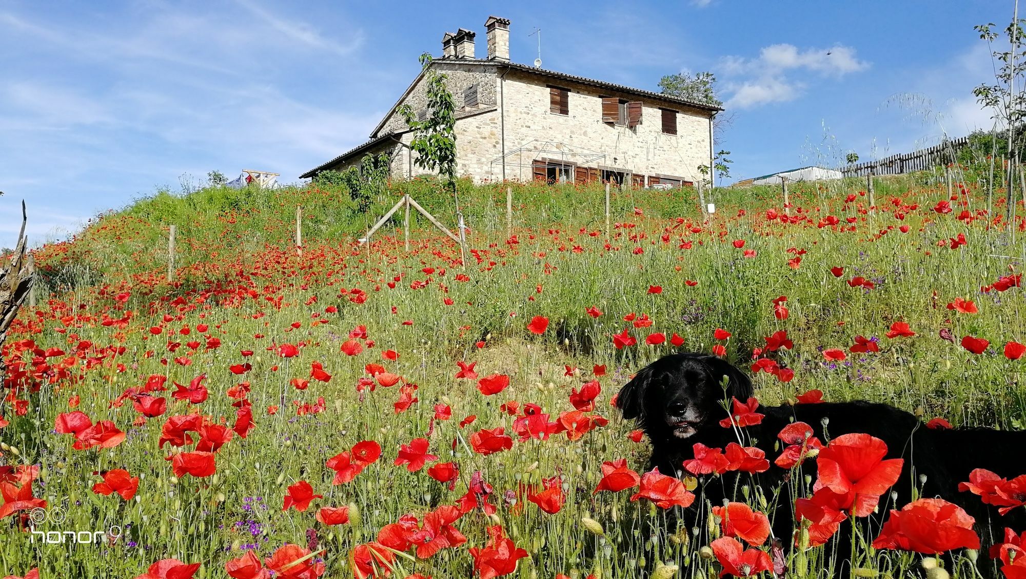 Casale Le Orme Bed & Breakfast Todi Exterior foto